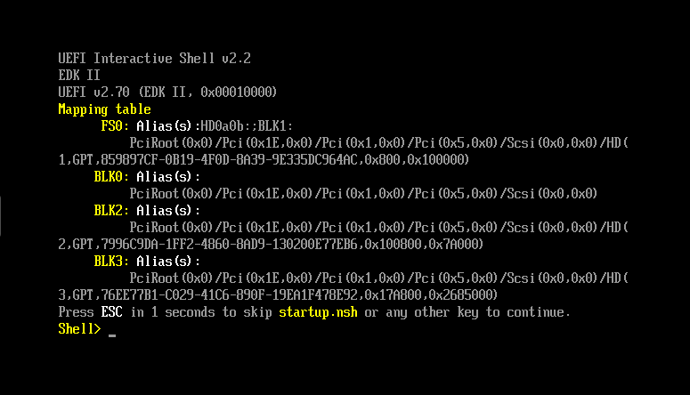Screenshot of the EFI shell